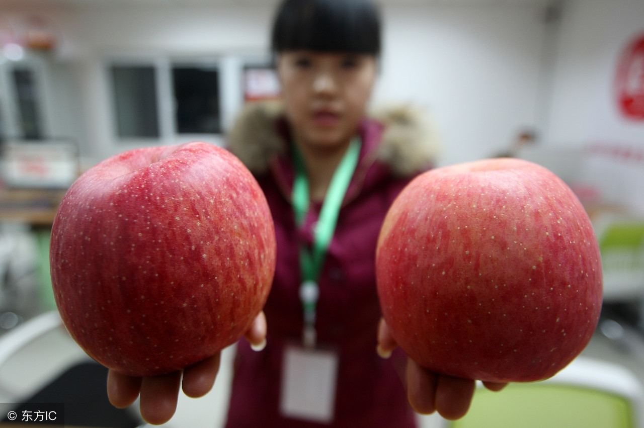冷库红富士苹果的价格,运城红富士苹果