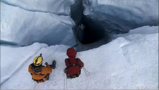 假期一定要给孩子看的20部纪录片,12部适合和孩子一起看的纪录片