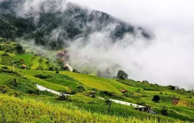 八字日元旺衰强弱的判定,命局中日元的旺衰强弱