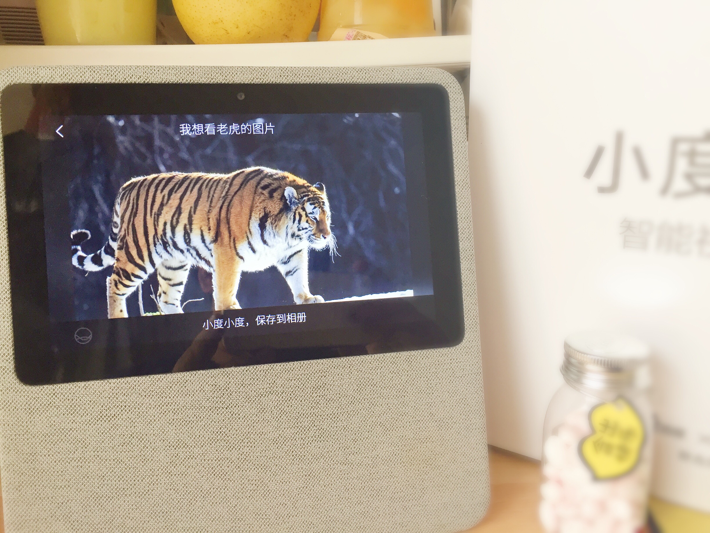 小度评测与推荐,小度在家对比测评