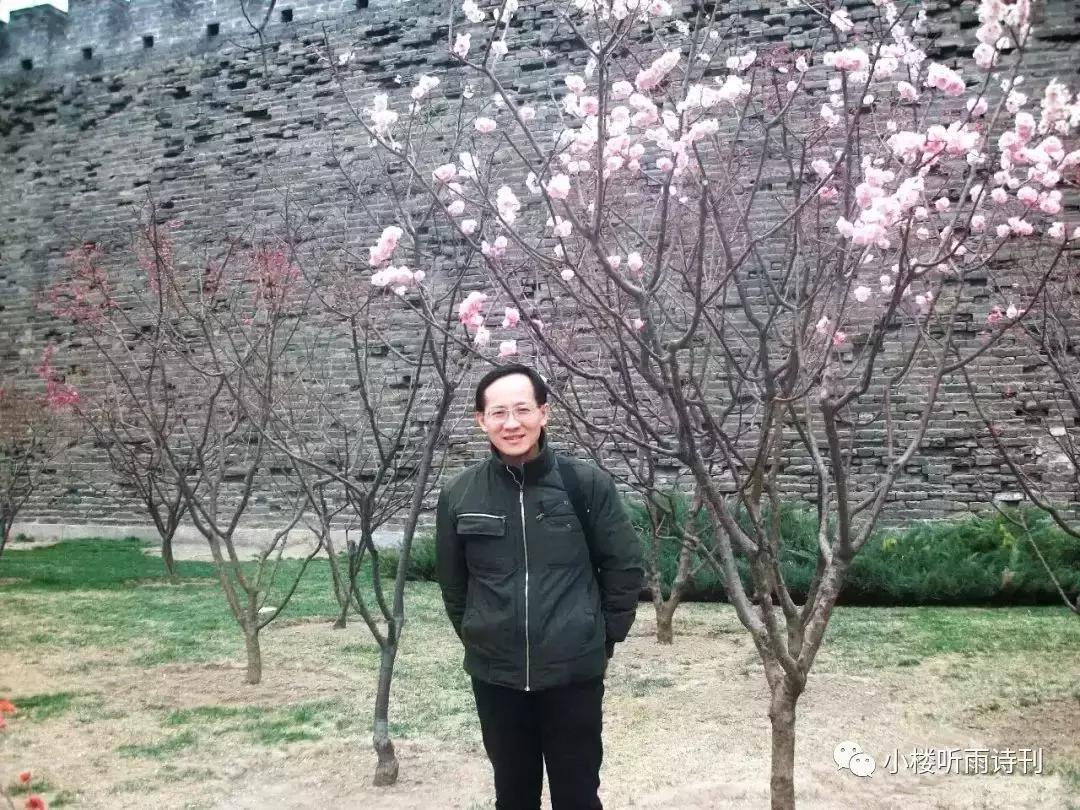 江岚书法视频全集,江岚书法作品