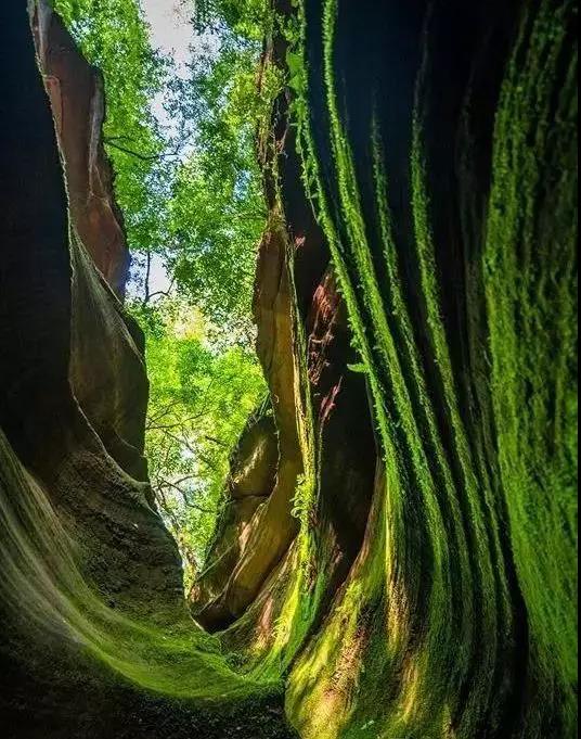 延安是青年心中的圣地,心中的圣地延安
