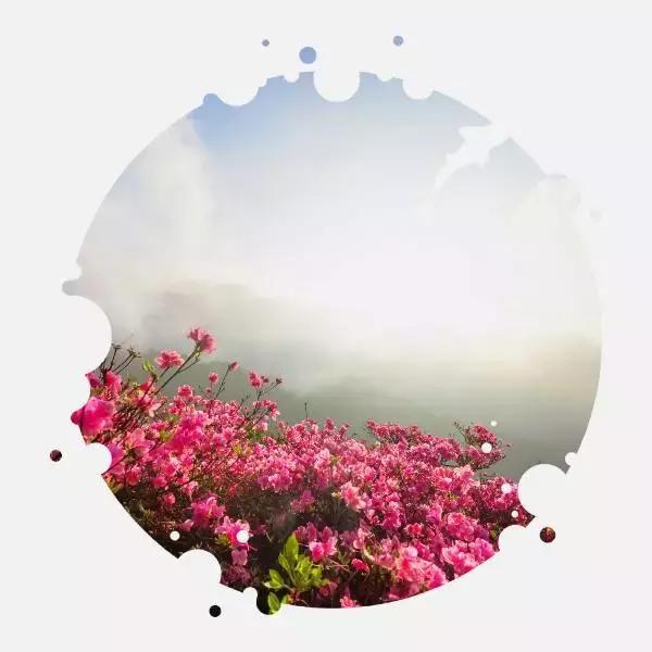 麻城龟峰山美景,麻城龟峰山风景区美照