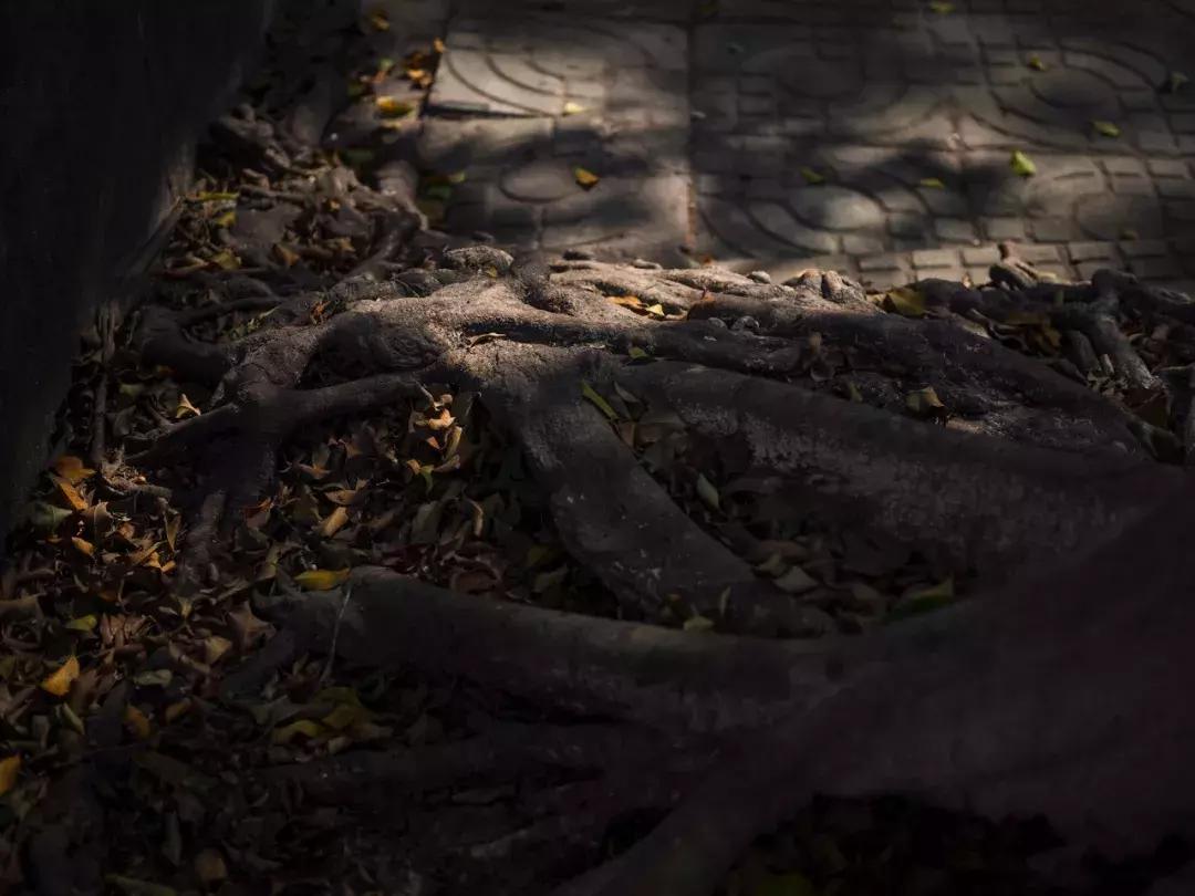 奥林巴斯epl9什么时候发布的,用颜值说话奥林巴斯e-pl9评测