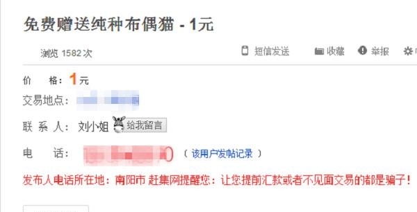 英短蓝猫领养多少钱,纯种英短猫领养价格