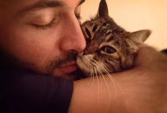 养猫继承遗产,猫咪血统是继承妈妈还是爸爸