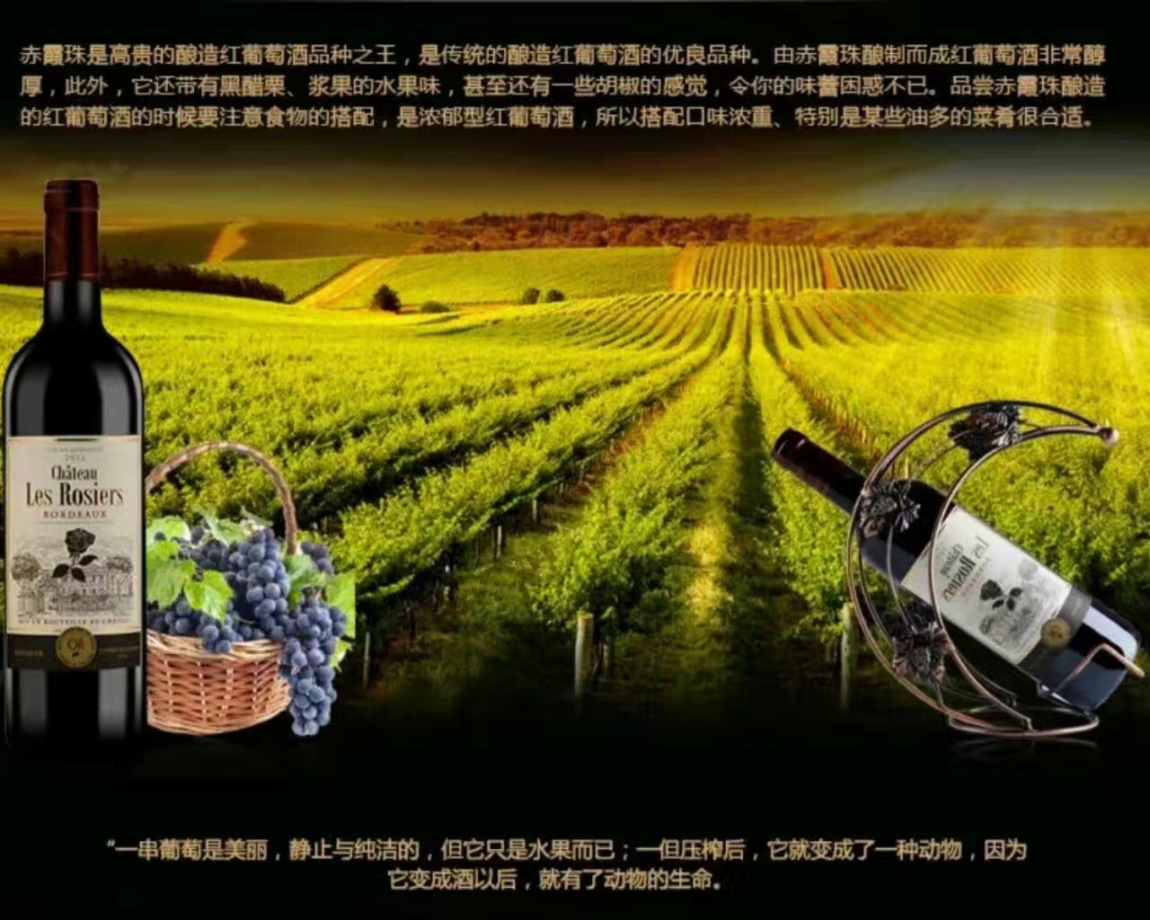 新西兰葡萄酒品牌介绍,新西兰葡萄酒庄园