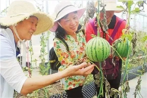 五一朝天旅游,踏青出游五一小长假怎么玩