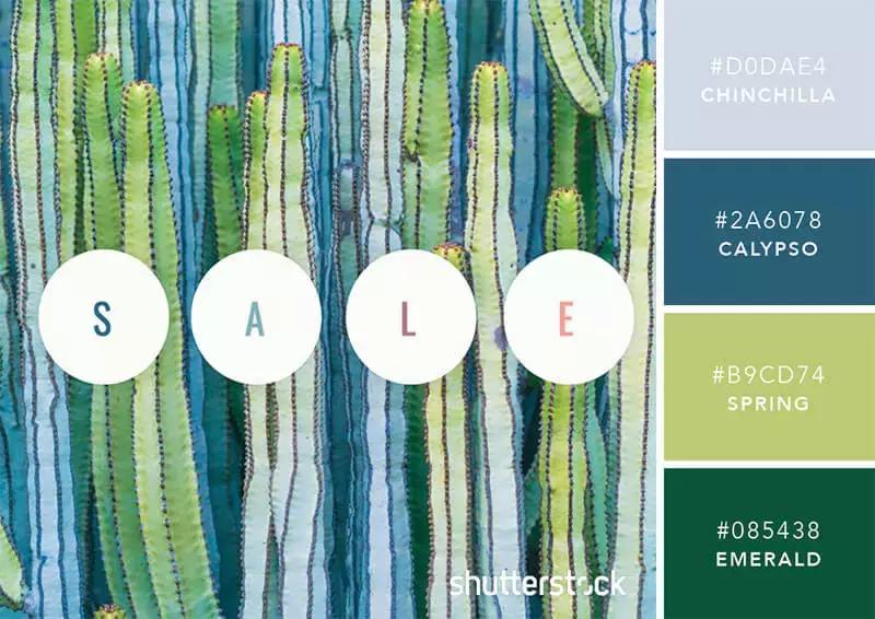 相见恨晚的色彩搭配,两种好看的颜色搭配