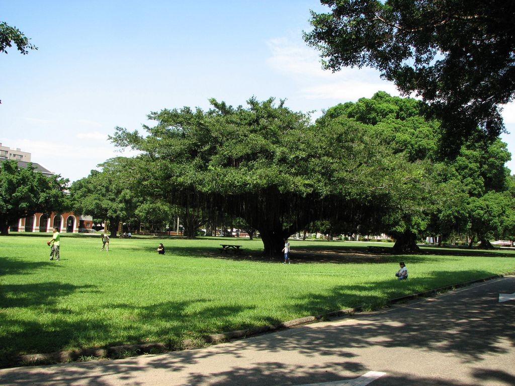 台南景点,台南古迹