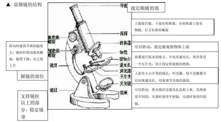 北师大版生物中考必背知识点,苏教版生物中考知识点总结填空版