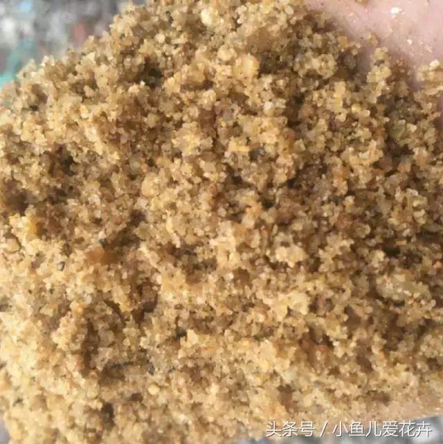 新手养肉肉最好用什么土,新手养肉配土