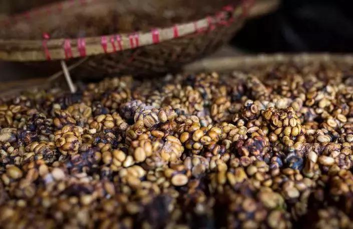 什么样的人会每天一杯咖啡,什么样的人会点外卖