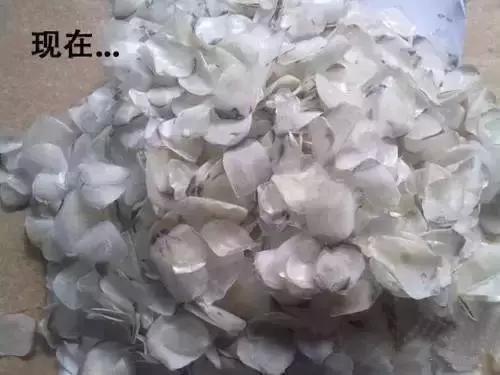 在深圳100块可以买什么,深圳10块钱能买什么