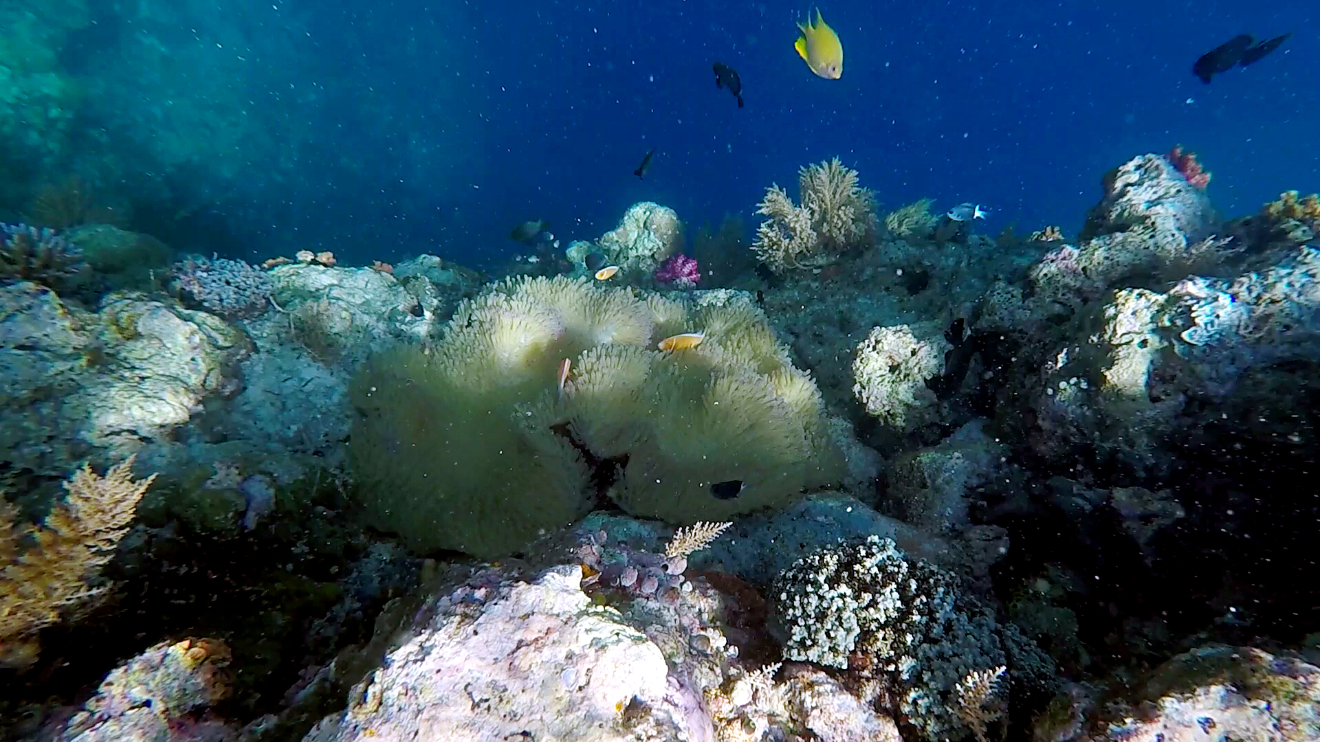 帕劳的海景风光给人美的享受,帕劳的海洋和沙滩风景图片