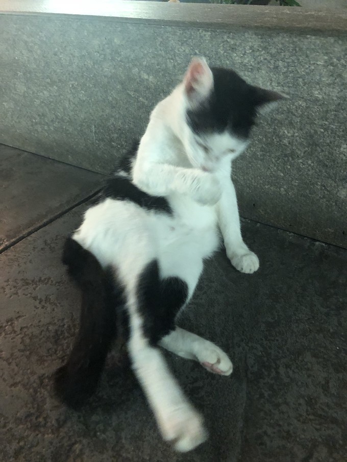 帕劳的海景风光给人美的享受,帕劳的海洋和沙滩风景图片