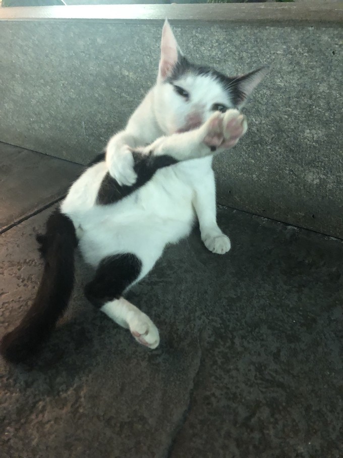 帕劳的海景风光给人美的享受,帕劳的海洋和沙滩风景图片