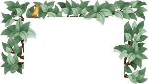 中医vs西医有什么区别,中医vs西医谁更胜一筹