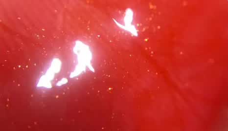 必备十支口红超级显白,夏季显白必备裸色口红平价