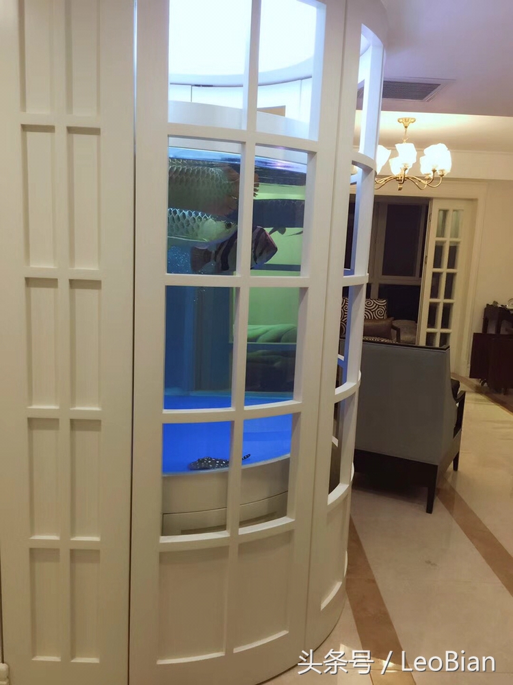 别了疯子完整版,别了疯子完整视频