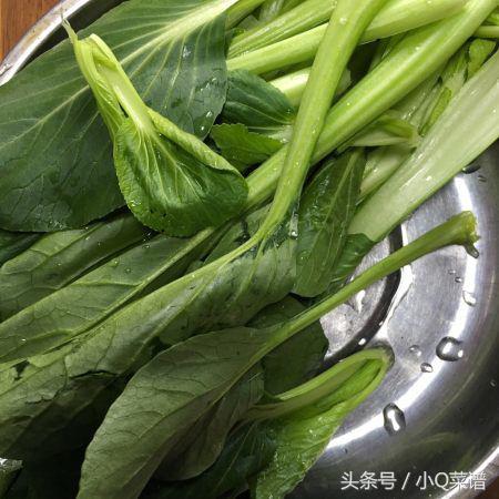 天热不想吃饭请问煮点啥吃,天热没菜怎么吃面条好吃