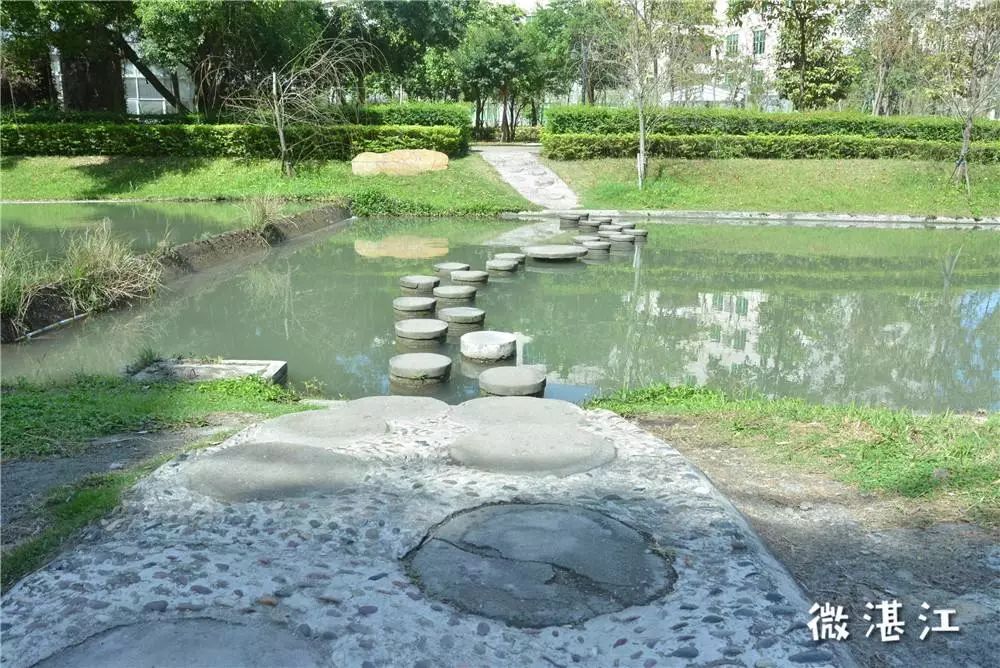 谢谢你二年级,谢谢你雷州话