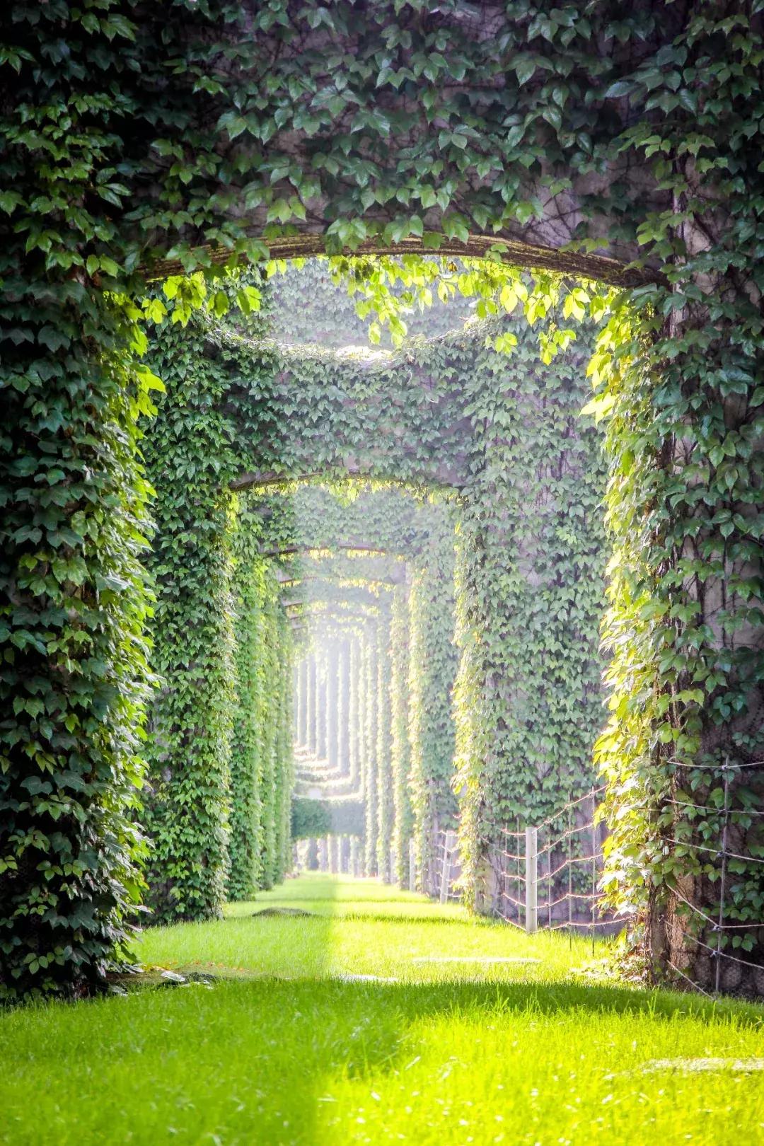 成都二环最好的地段,成都南面30公里宜居城市