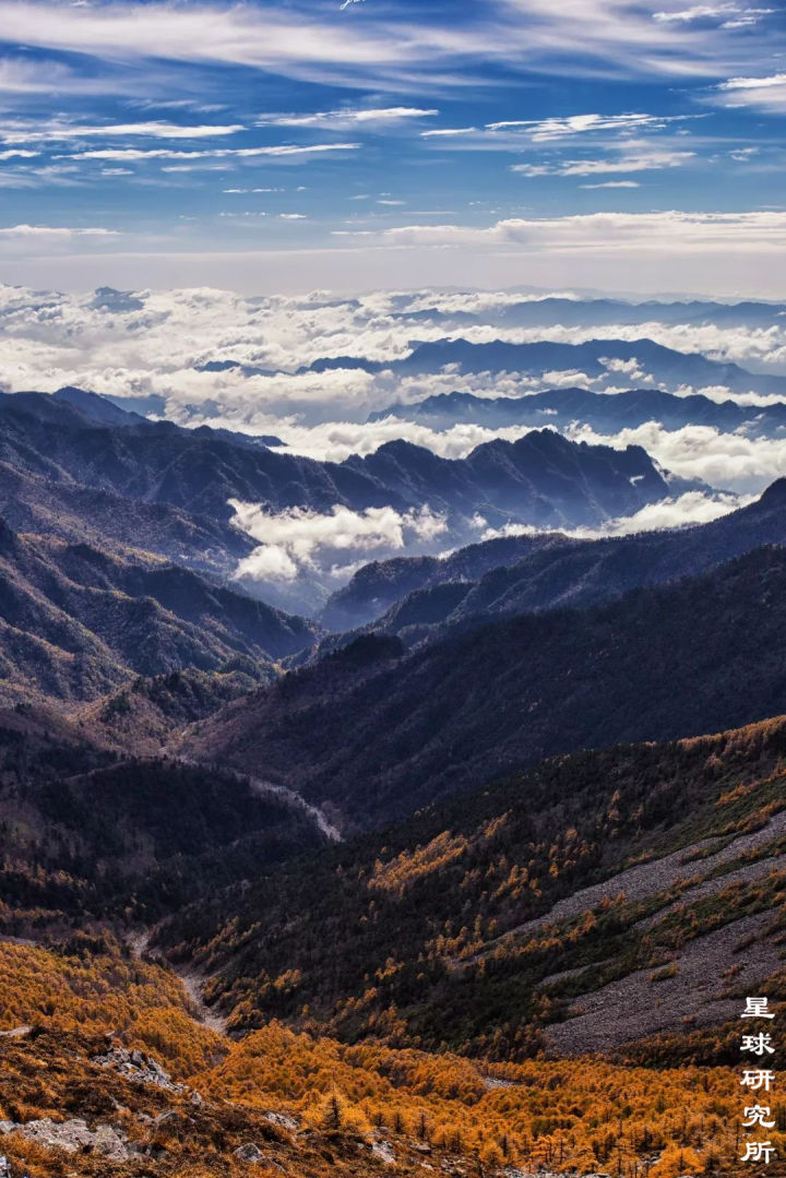 什么是西安事变,西安市本级是什么意思