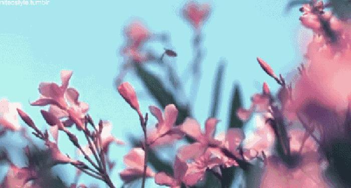 从支付宝上借10万块,支付宝信用贷如何借款