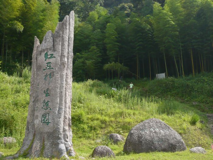 风景旧曾谙歌曲,风景旧曾谙这句话是什么意思