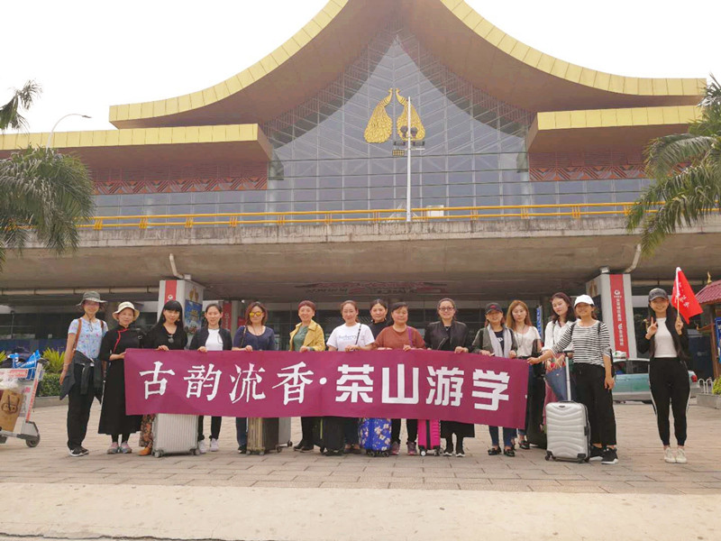 探寻800年古树普洱茶的神秘魅力,探寻古树普洱茶