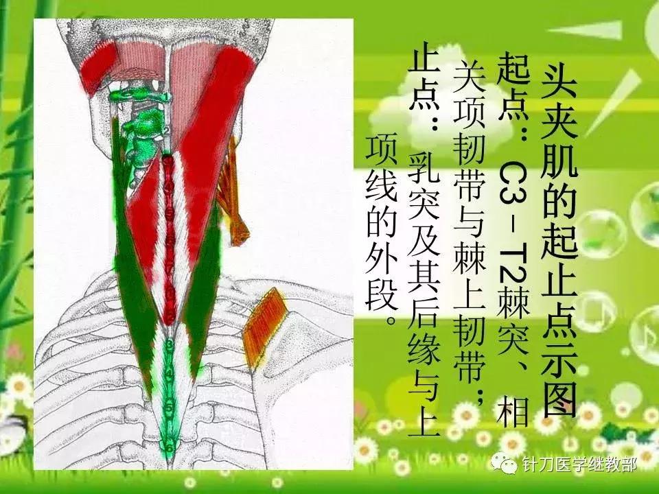 颈椎肌肉损伤用小针刀治疗,针刀治疗颈椎导致神经损伤