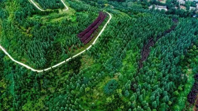 西安小众旅游,西安小众避暑胜地