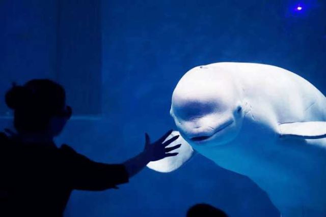 西安小众旅游,西安小众避暑胜地