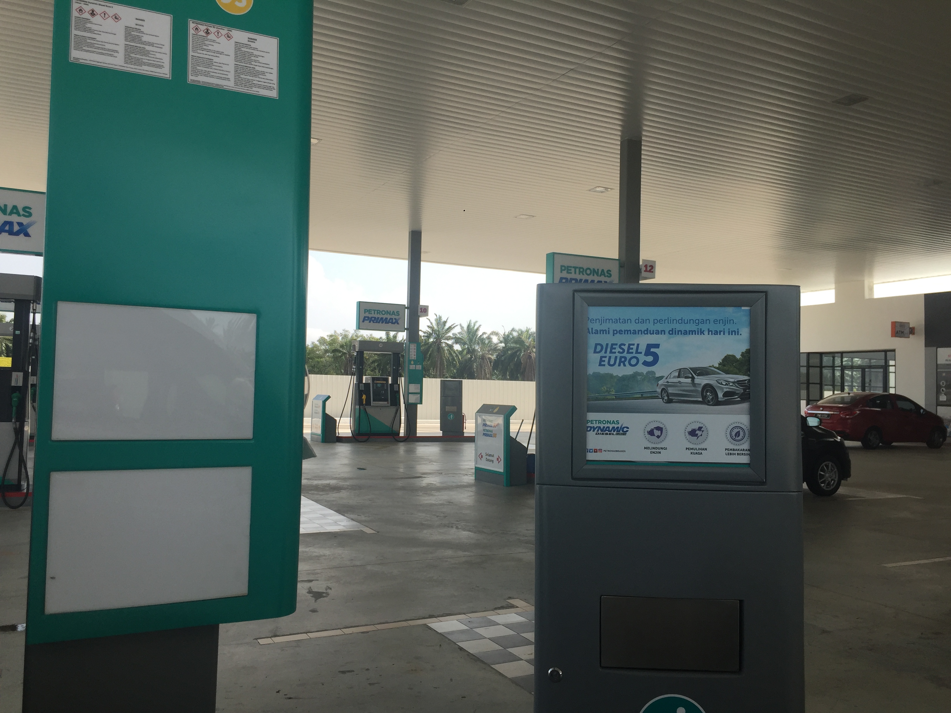 过背金龙是什么意思,过背金龙和高背金龙的区别