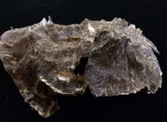 沉香与玉石都是树木形成的吗,沉香是什么木材形成的