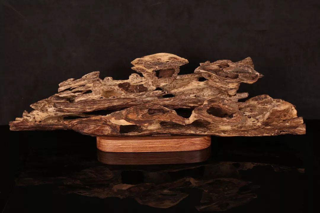 沉香与玉石都是树木形成的吗,沉香是什么木材形成的