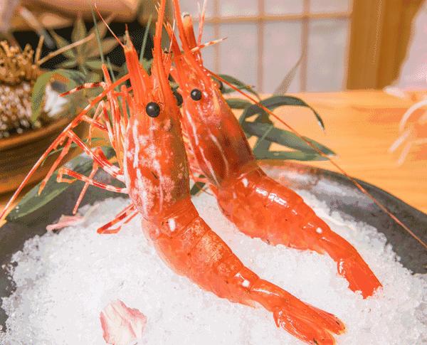 上海米其林一星日料,东京日料米其林一星