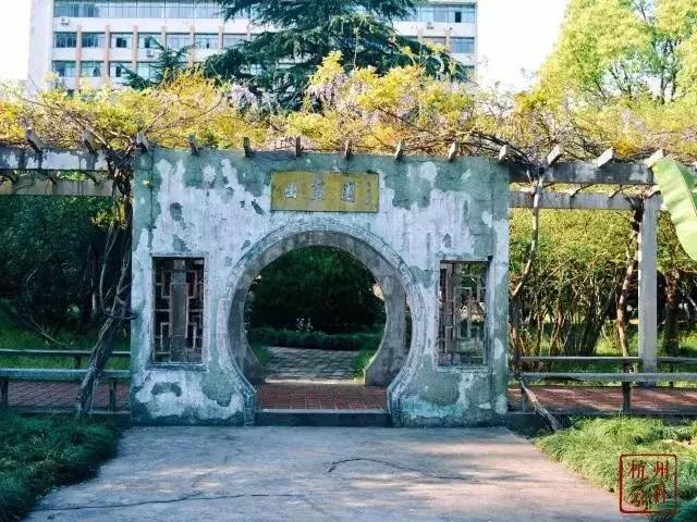 我与你的第X年，今天这所高校107岁了！