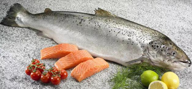 少量食用鱼翅会汞中毒吗,鱼翅导致汞中毒