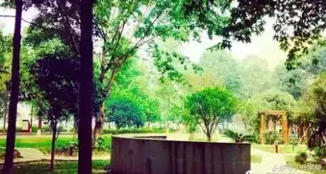 起底“德瑞系”——成外、实外、实外西区三校大比拼！