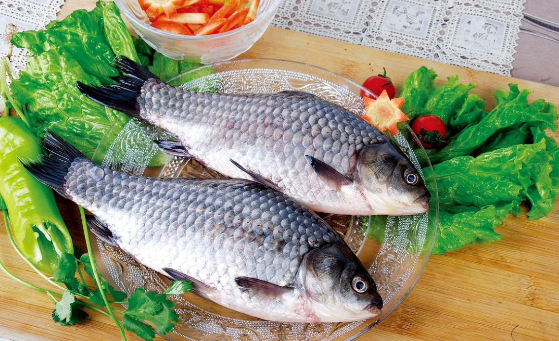 鲤鱼与鲫鱼的区分,怎么区分野生鲤鱼和鲫鱼