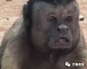 这群绝了!总共50多个人,除了1个受害人,其他全是*子骗**……已有河南人上当!