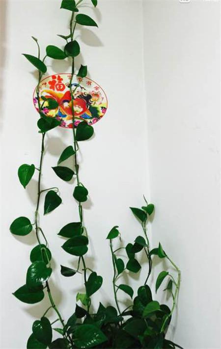 幸福的烦恼解决方法,幸福的烦恼有几个方面