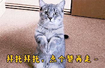 驾驶证满12分最新考试流程,驾驶证b2满12分怎么处理