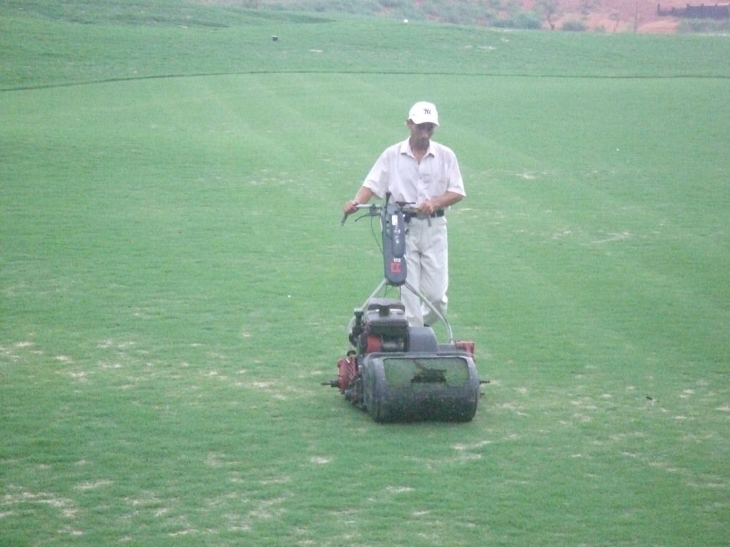 园林工程造价全套视频教程,园林工程预算及造价清单