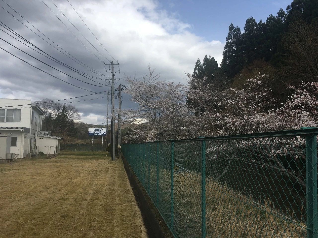 粉丝投稿摩托车,粉丝投稿骑摩托车