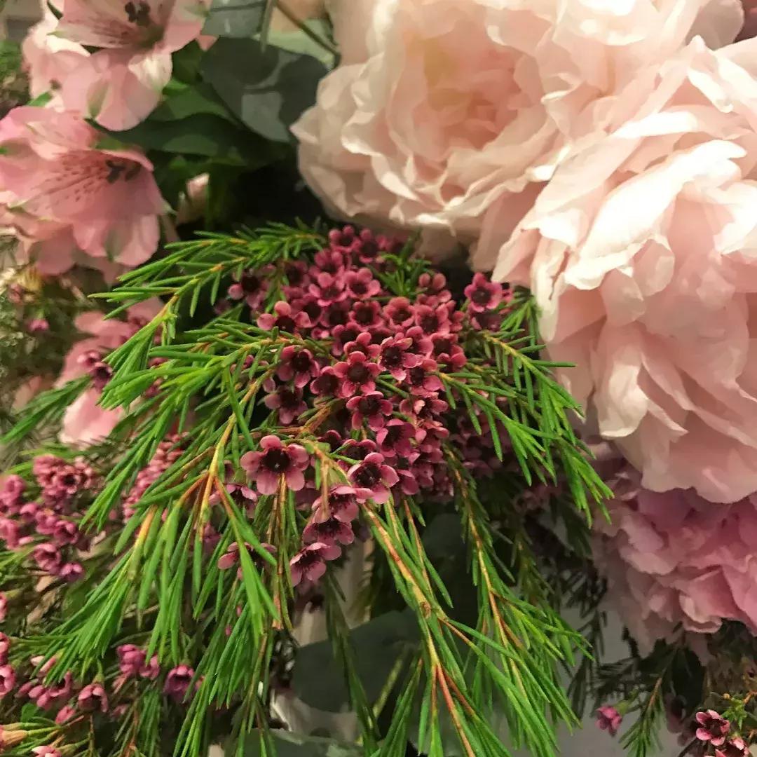 王丽坤戛纳红毯,王丽坤和李晨吻戏