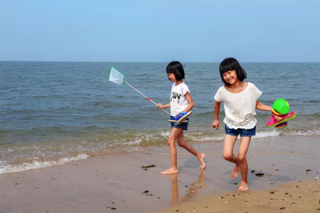 捡海鲜赶海,青岛哪里适合赶海捡海鲜