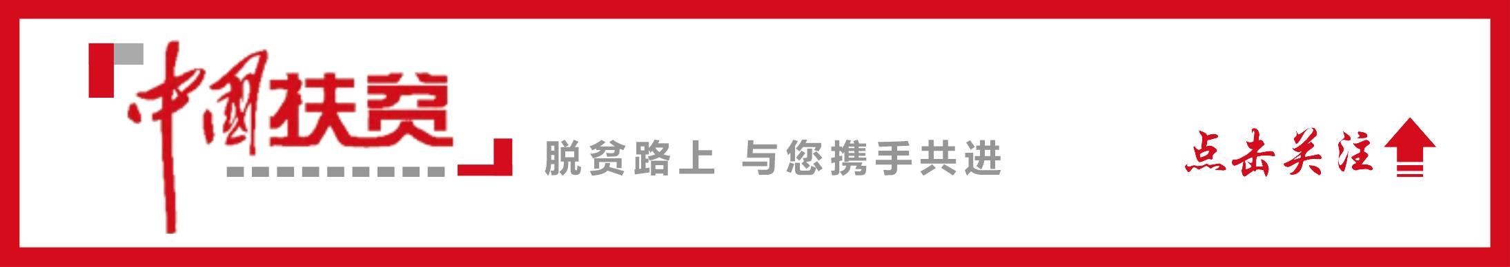 爱玛电动车有没有合格证书,爱玛tdt1141-2z型号电动车怎么样